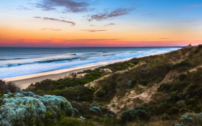 Online Focus Group | Gippsland VIC