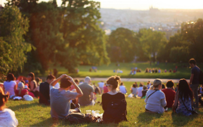 Online Focus Group | Australia Wide