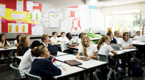 Online Focus Group | VIC