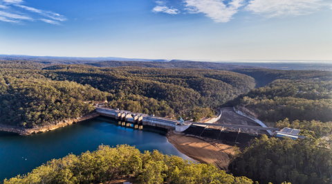 Online Survey | Greater Sydney