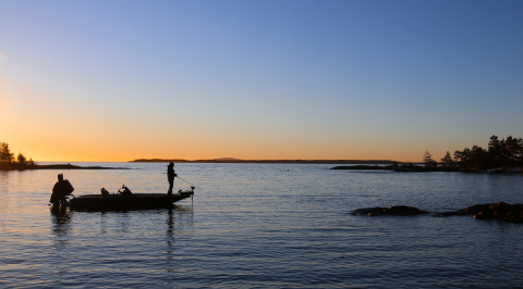 Online Interview | Regional and Rural NSW + QLD