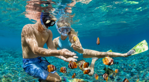 Online Focus Group | Australia-wide