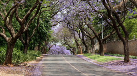 Face-to-face OR Online Focus Group | Sydney CBD, Parramatta + Regional NSW